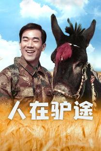 人在驴途在线观看,一场别开生面的在线观影之旅
